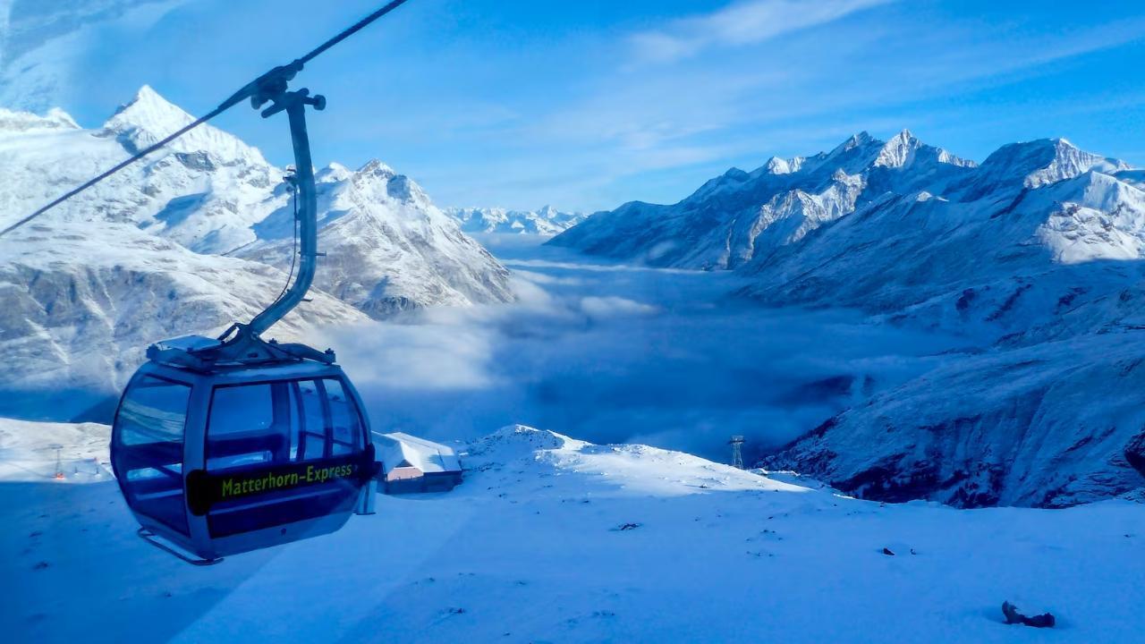 Chihuahua helps rescue hiker trapped in Swiss glacier crevasse
