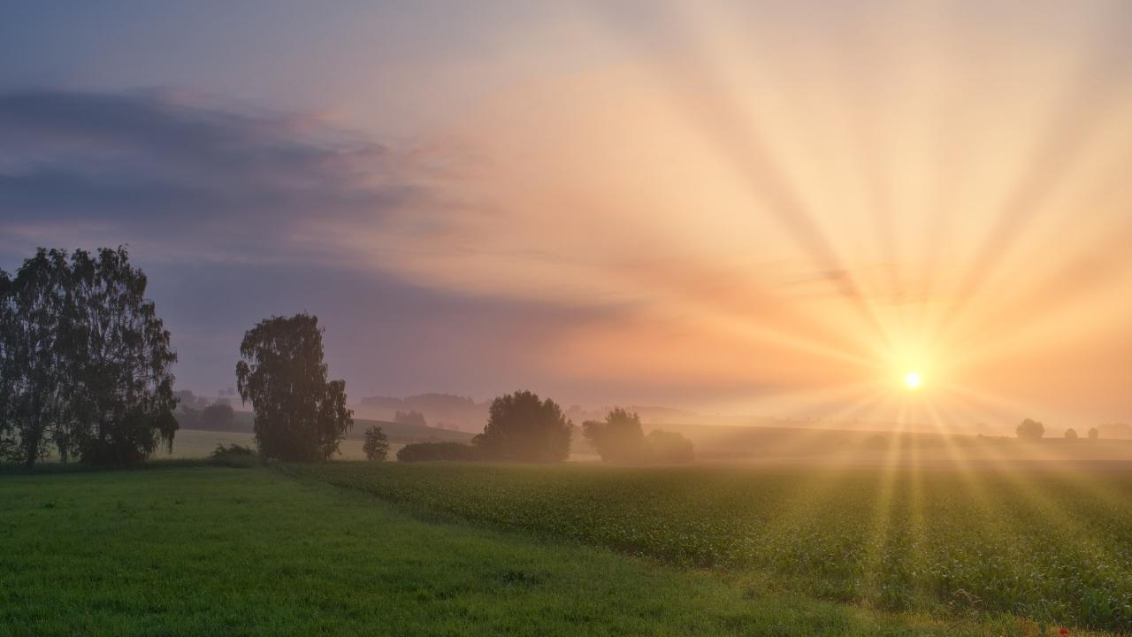 Edmonton's 2025 Summer: Cooler Than Usual or Just Perceived?