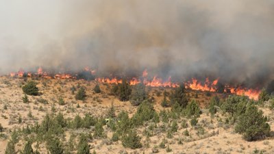 Wildfire Near Whati: Flames Just 15 km Away From Community in NWT