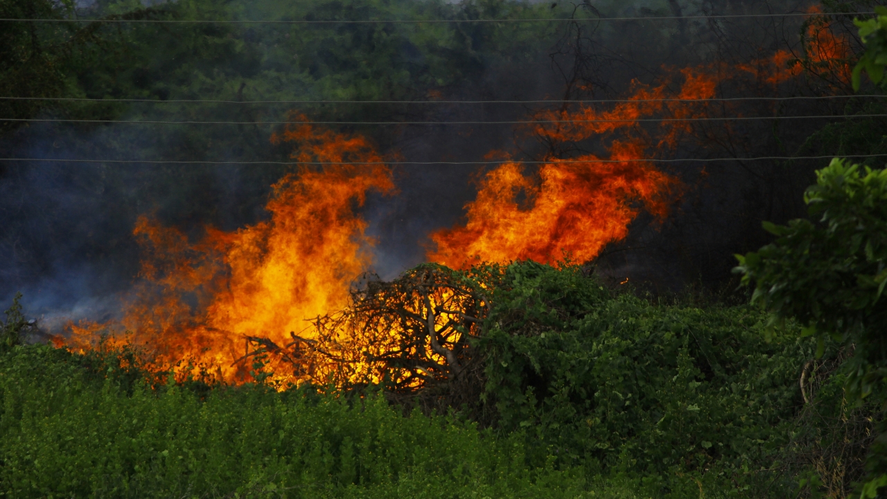 12 Wildfires Burning in New Brunswick Evacuation Alert Lifted