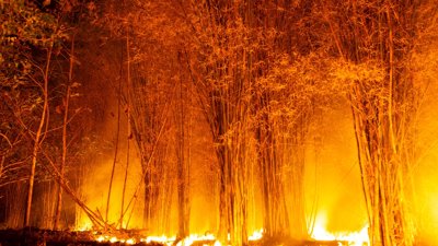 Whati Evacuation Ordered as Wildfire Threatens Northwest Territories