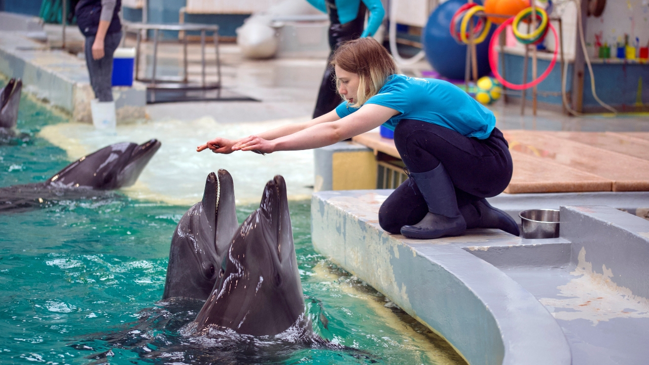 Dolphin Friends Program Launched to Save Gangetic Dolphins