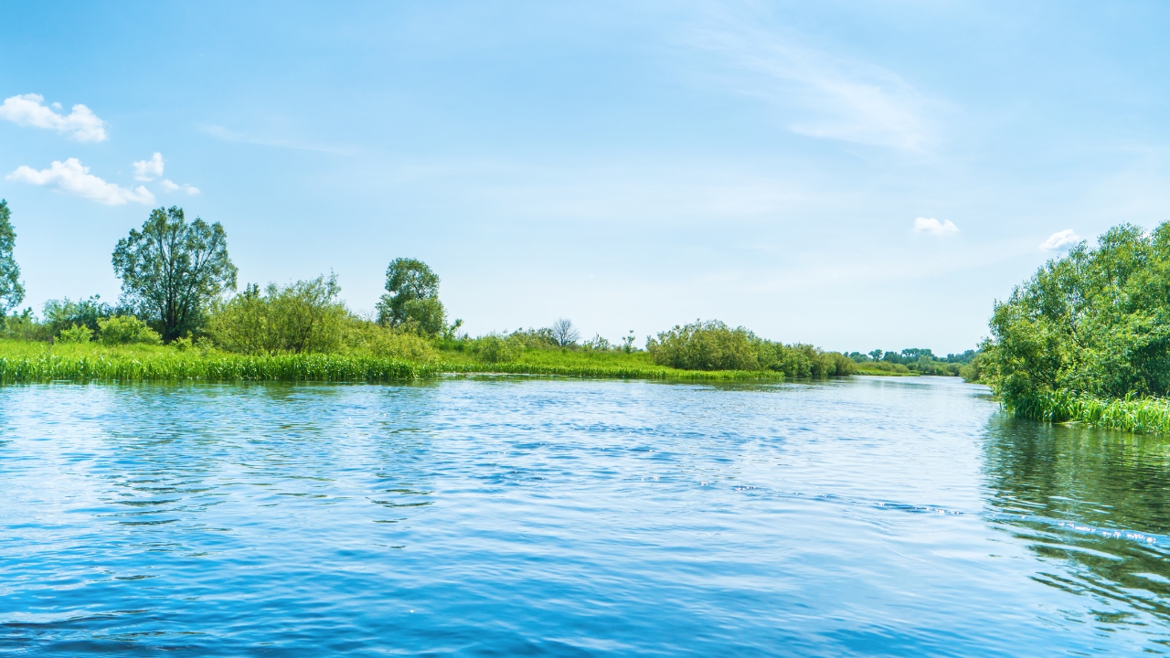 Lake Superior Health Improving in Thunder Bay