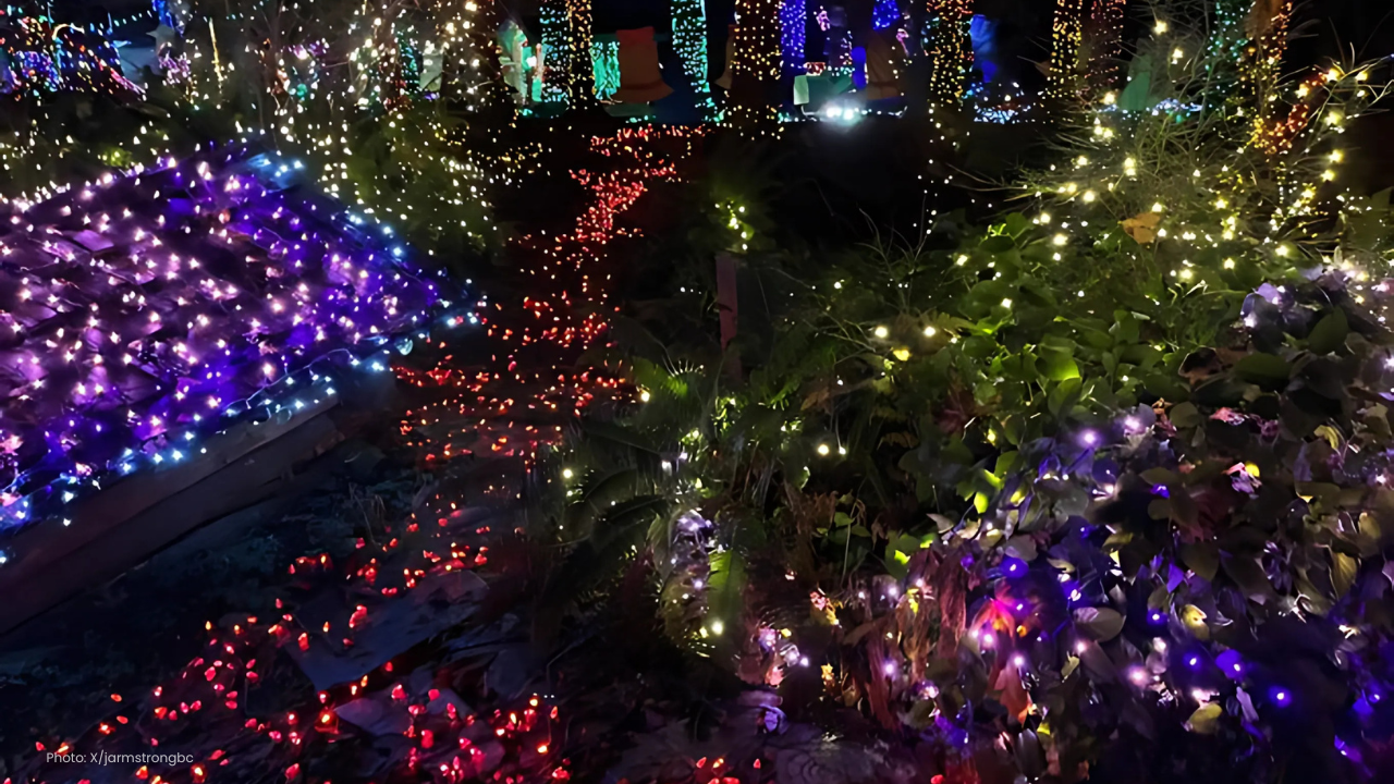 Holiday Magic Moves: Bright Nights Finds a New Home
