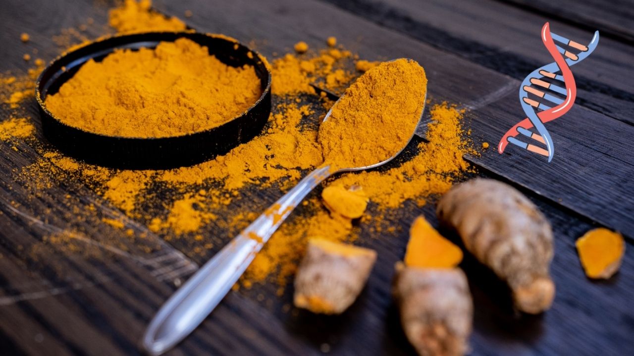 SPARK 4.0: Revolutionizing Ayurveda Through Research and Innovation SPARK 4.0: Revolutionizing Ayurveda Through Research and Innovation
