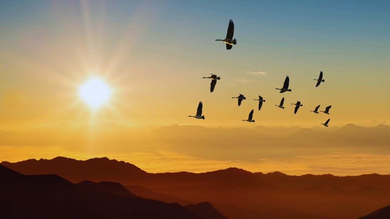 Managing the Human Tide: Strategies and Lessons from Climate-Induced Migration