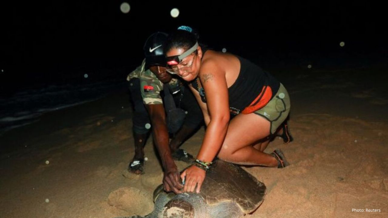 Angolan Villagers: From Hunters to Sea Turtle Guardians