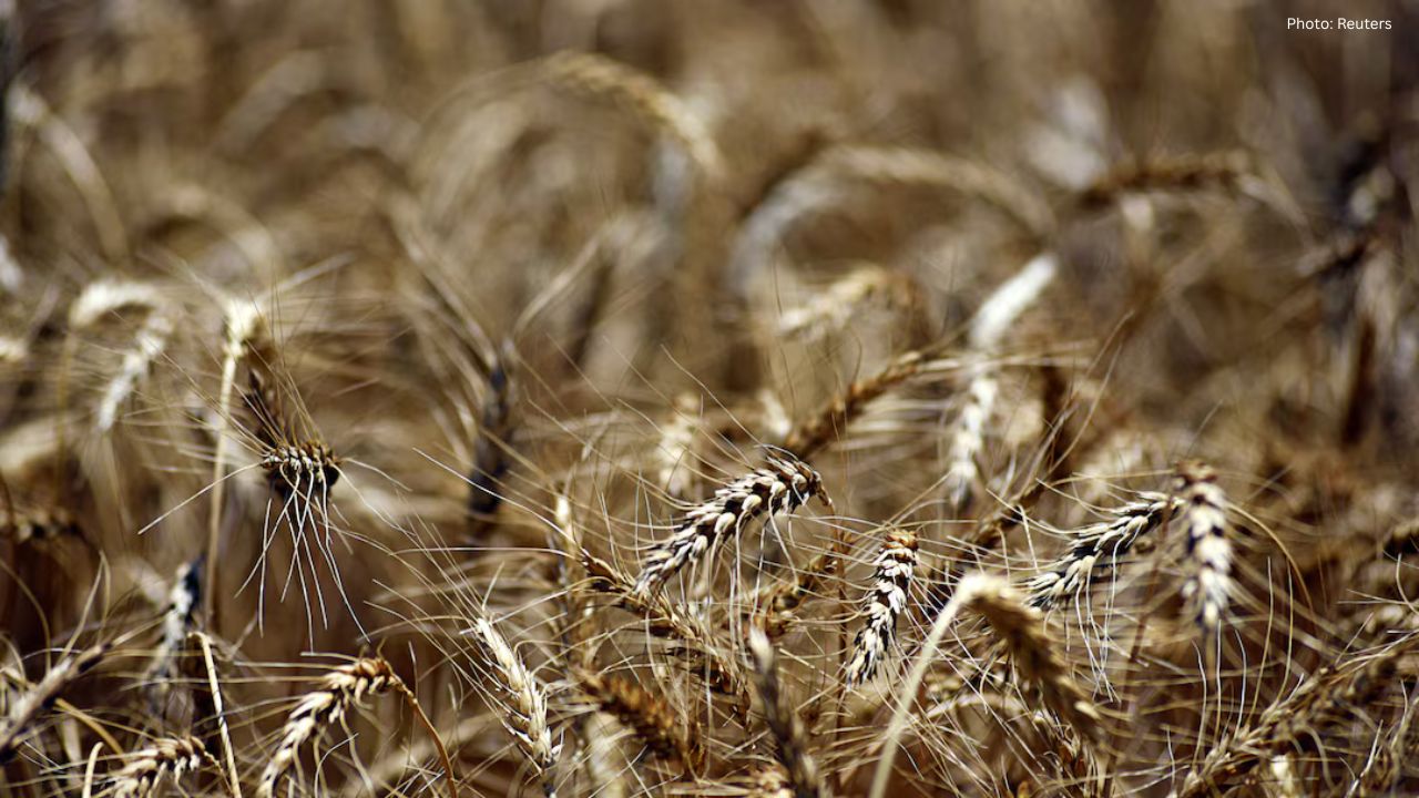 Trump Set to Reveal $12 Billion Aid for Troubled Farmers