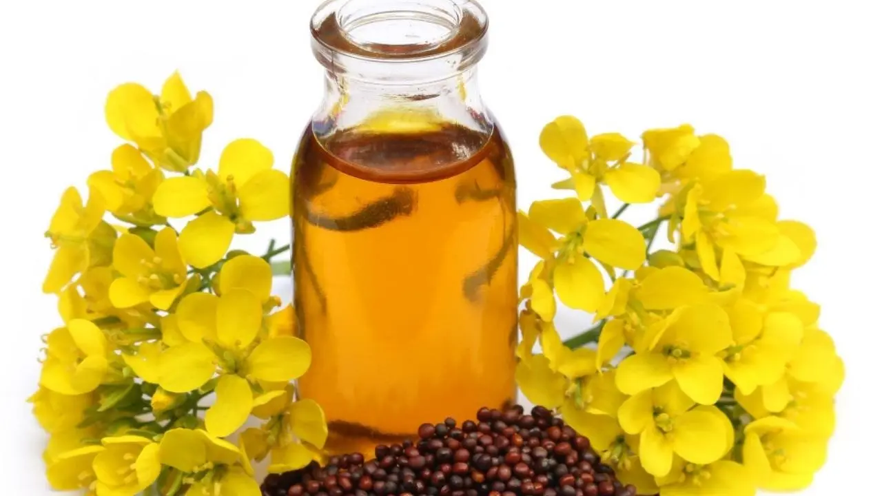 Harness Mustard Oil for Healthier Hair: Top Home Remedies