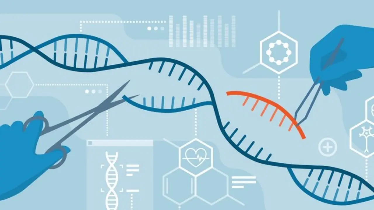 The Future of Genetic Editing: A 2026 Outlook