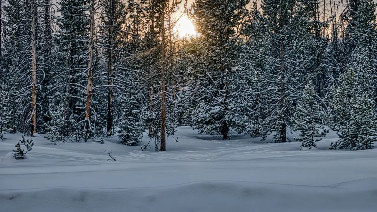 Nova Scotia Hit by Blizzard: Snow, High Winds Halt Travel