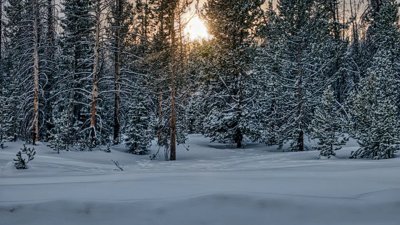 Nova Scotia Hit by Blizzard: Snow, High Winds Halt Travel