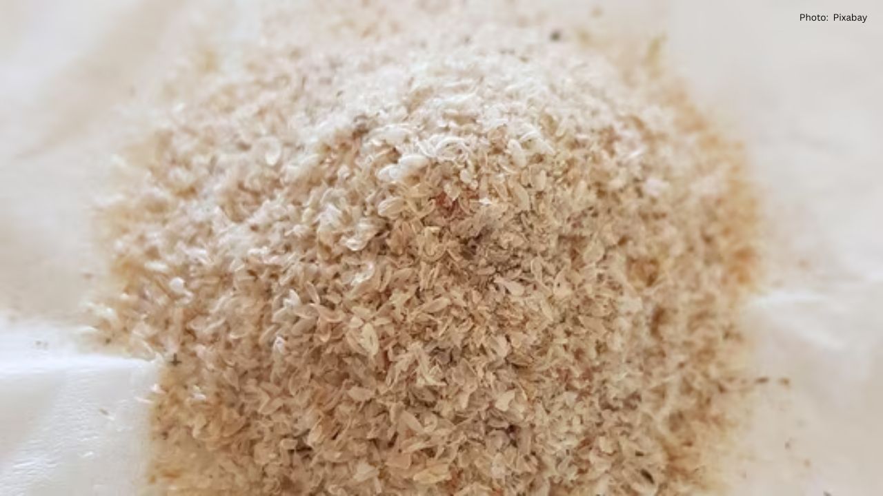 Unveiling the Many Health Benefits of Isabgol: Beyond Just Constipation Relief