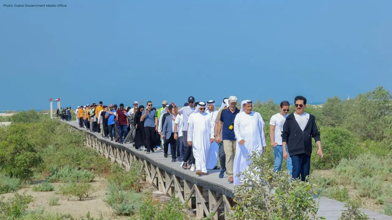 600 New Mangroves Planted by DEWA and DECCA at Jebel Ali