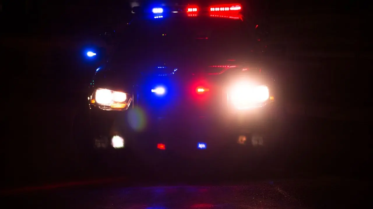 Delhi Police Detain Over 660 in Pre-New Year Security Sweep