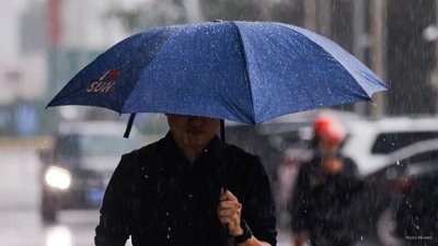 This Week’s Forecast: Mixed Weather with Rain and Windy Conditions