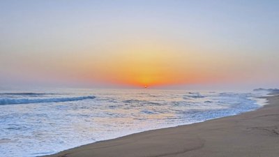 Landmark New Ocean Treaty: Key Protections and Its Significance