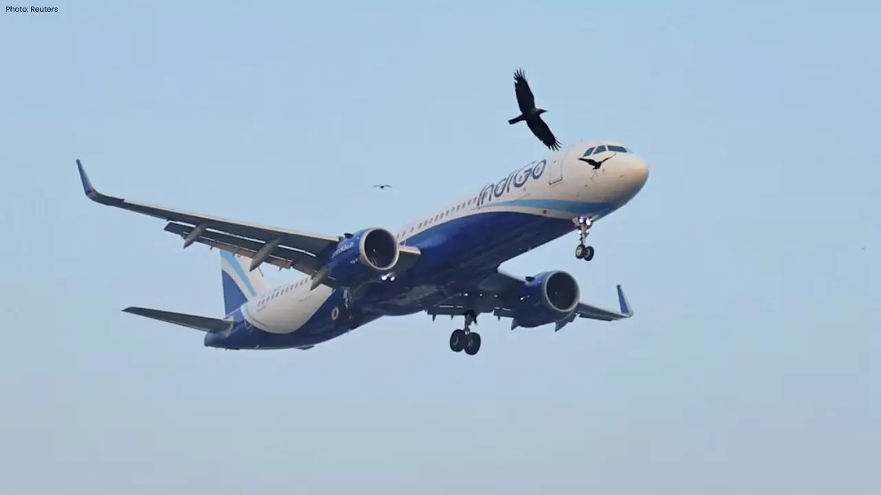 IndiGo Flight Disruption: Pilot Declines to Fly Amid Passenger Outcry