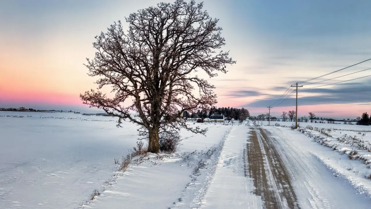 Canada Braces for Extreme Cold With Feelings Near –50 °C
