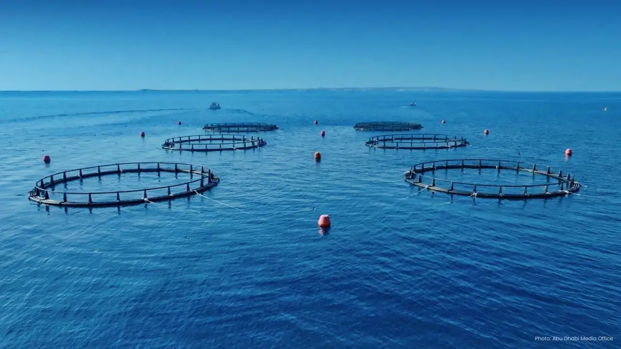 Abu Dhabi Reaches 100% Sustainability in Fisheries by 2025