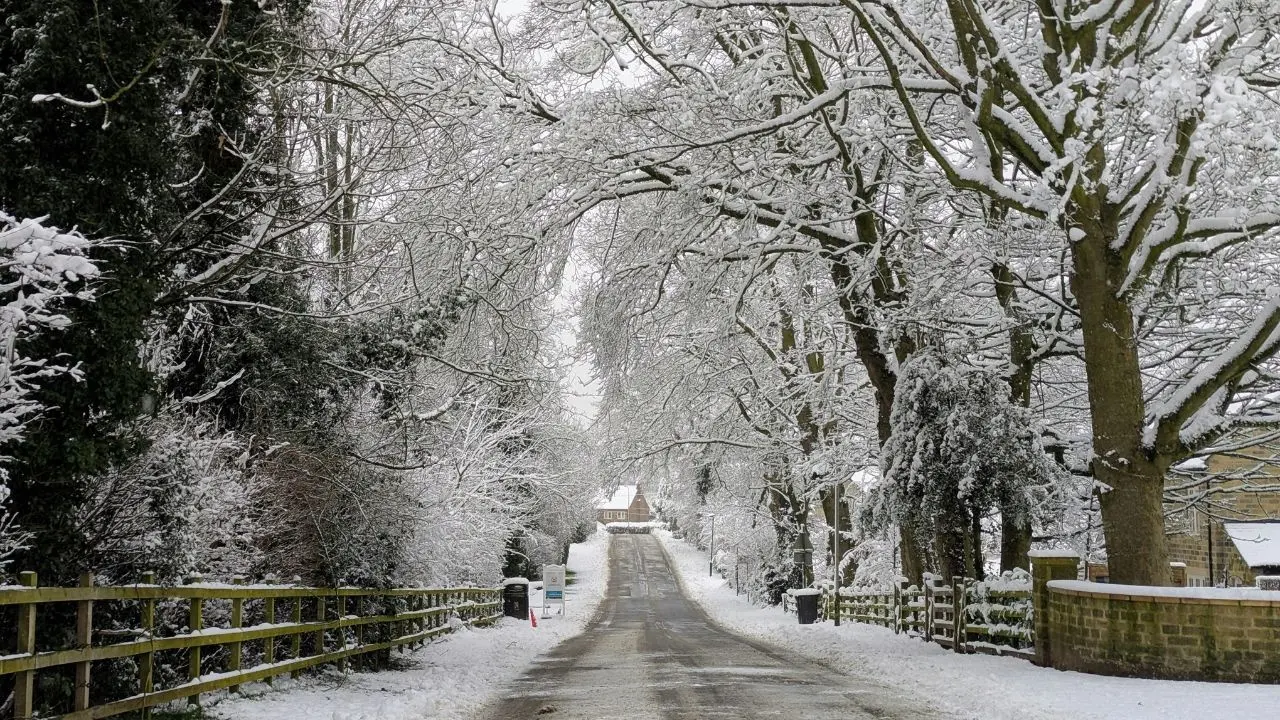 Devastating Winter Storm Claims 10 Lives and Causes Widespread Power Failures in the US