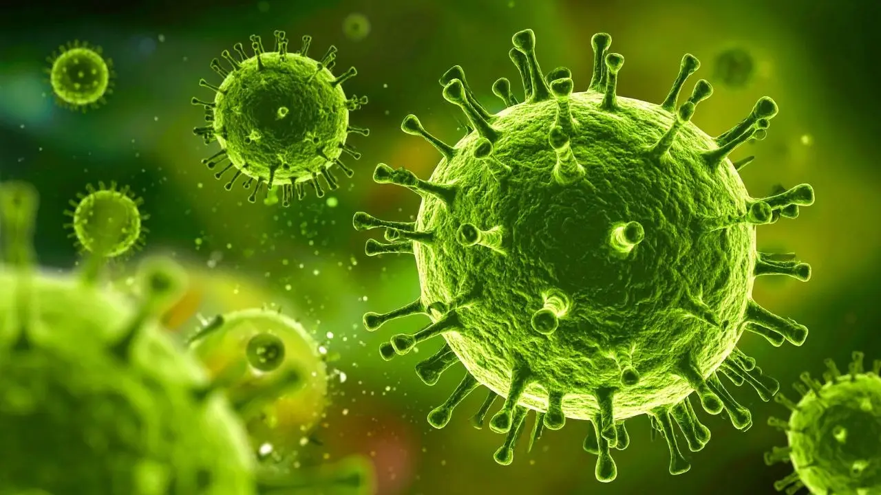 Nipah Virus Outbreak in West Bengal Triggers Health Screenings Across Asia