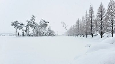 Montreal Families Urge Better Emergency Planning After Two Winter Deaths