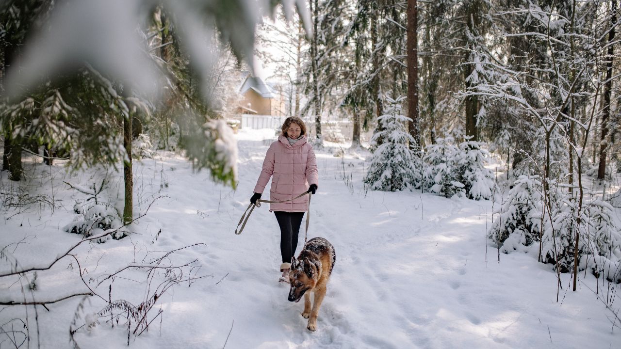 Dog Responsible for Fatal Surrey Attack Put Down, Owners Respond